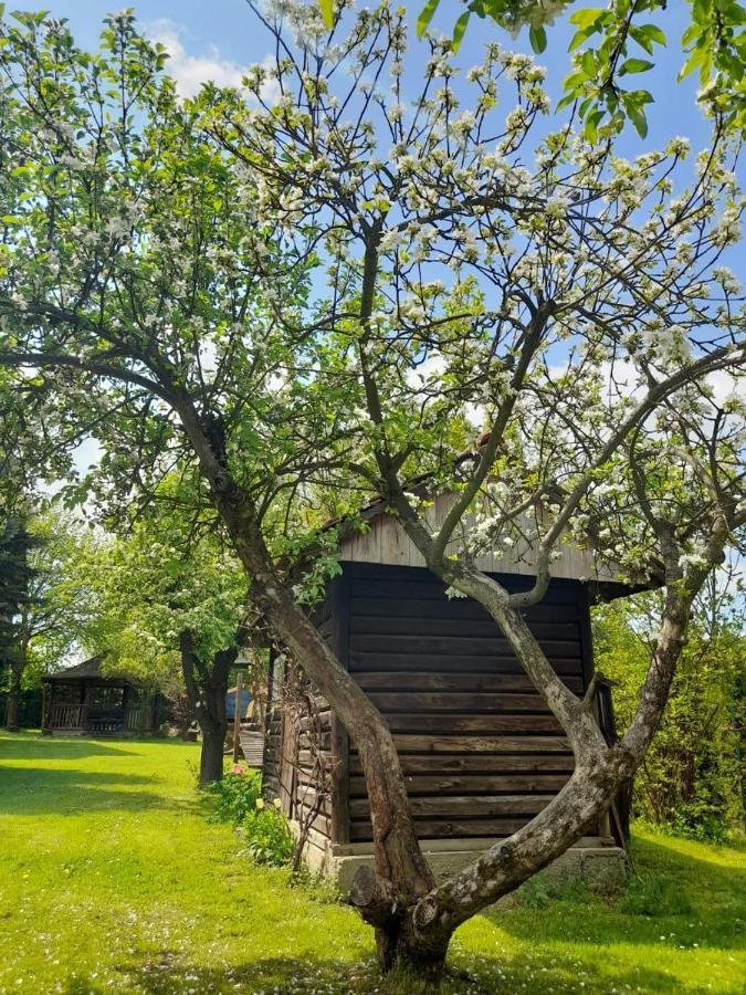 Agroturystyka Stokrotka Rymanów-Zdrój Extérieur photo