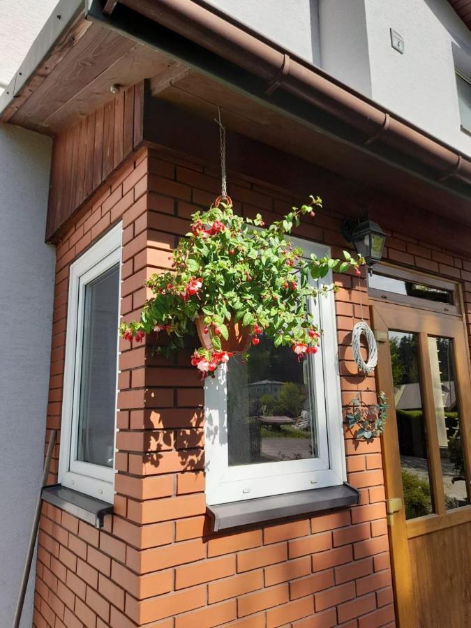 Agroturystyka Stokrotka Rymanów-Zdrój Extérieur photo