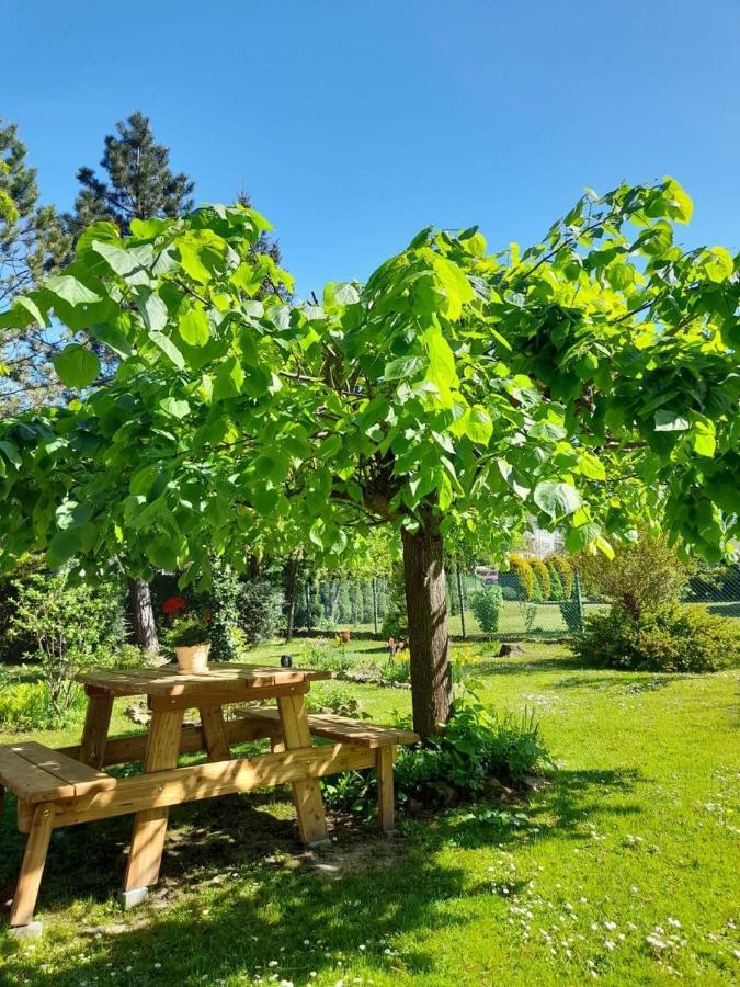 Agroturystyka Stokrotka Rymanów-Zdrój Extérieur photo