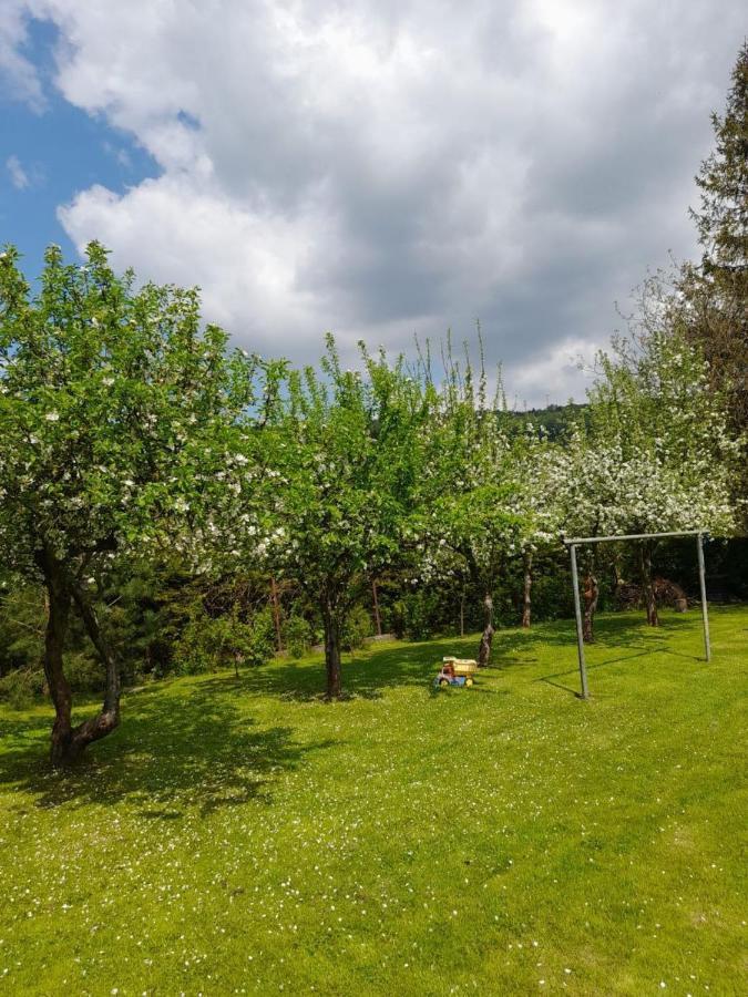 Agroturystyka Stokrotka Rymanów-Zdrój Extérieur photo
