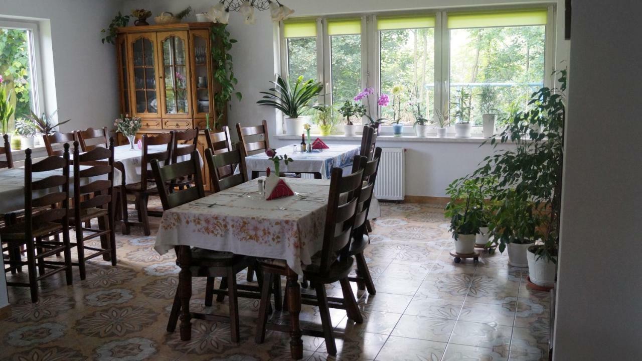 Agroturystyka Stokrotka Rymanów-Zdrój Extérieur photo